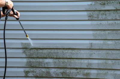 Home Siding Cleaning detail
