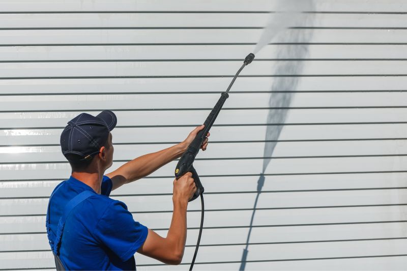 Home Siding Cleaning detail