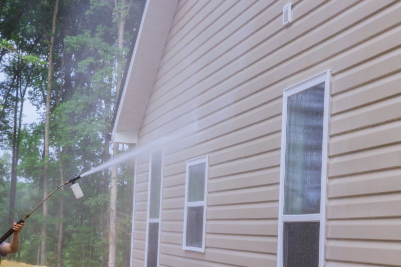 Home Siding Cleaning detail